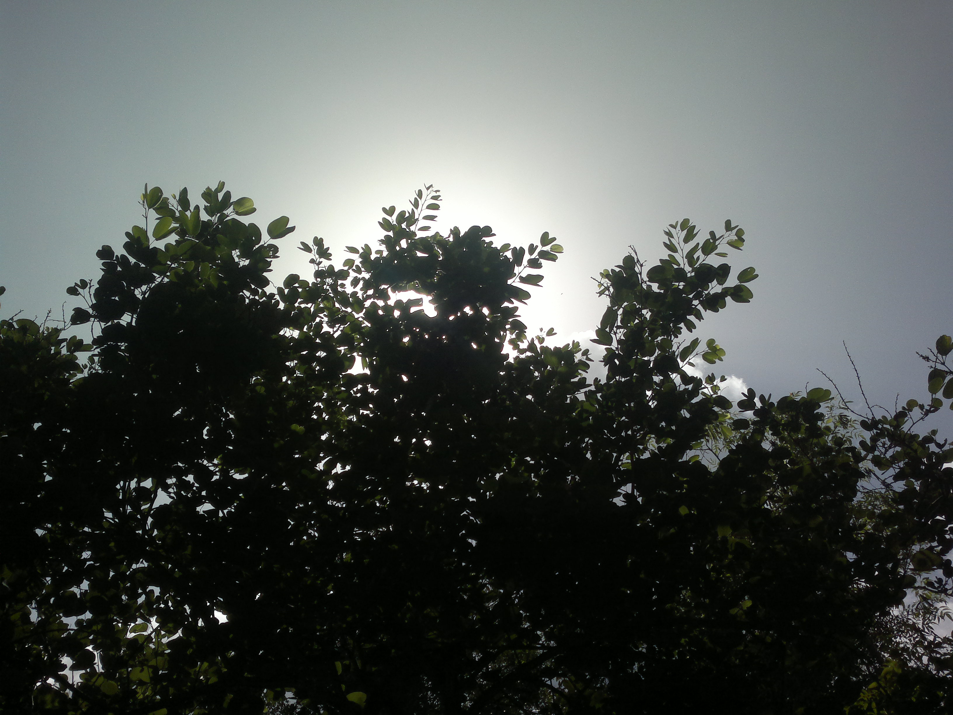 My Photography